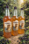Kombucha ČERNÝ RYBÍZ