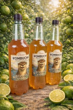 Kombucha MOJITO