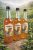 Kombucha BASIC