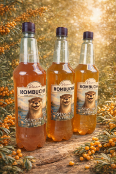 Kombucha RAKYTNÍK