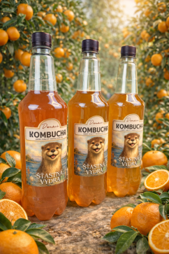 Kombucha POMERANČ